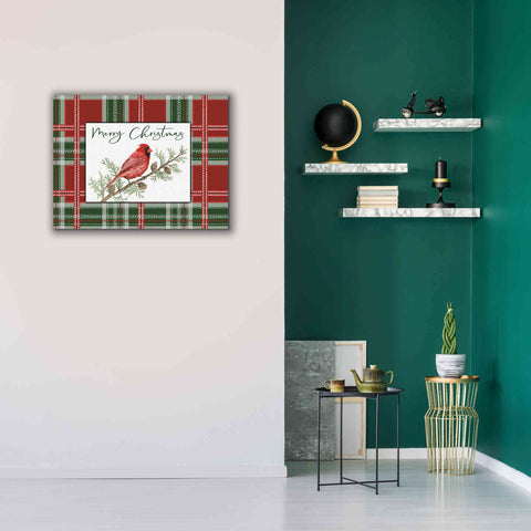 Image of 'Merry Christmas Cardinal' by Cindy Jacobs, Canvas Wall Art,34 x 26