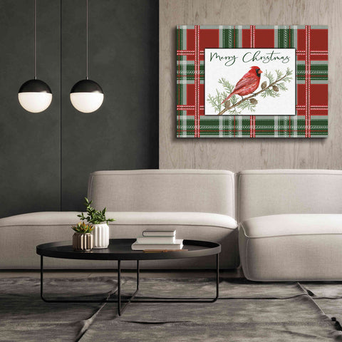 Image of 'Merry Christmas Cardinal' by Cindy Jacobs, Canvas Wall Art,54 x 40