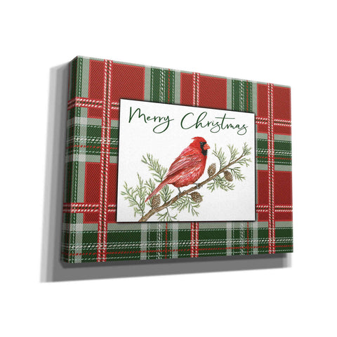 Image of 'Merry Christmas Cardinal' by Cindy Jacobs, Canvas Wall Art