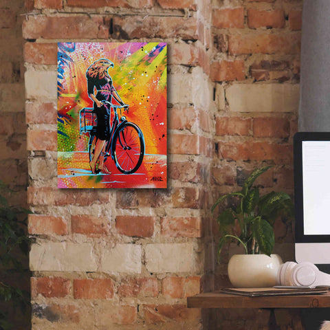 Image of 'Cycle Soaring' by AbcArtAttack, Canvas Wall Art,12 x 16