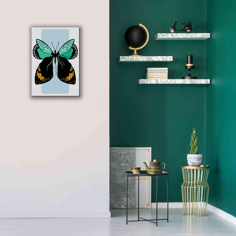 Image of 'Butterfly' by Ayse, Canvas Wall Art,18 x 26