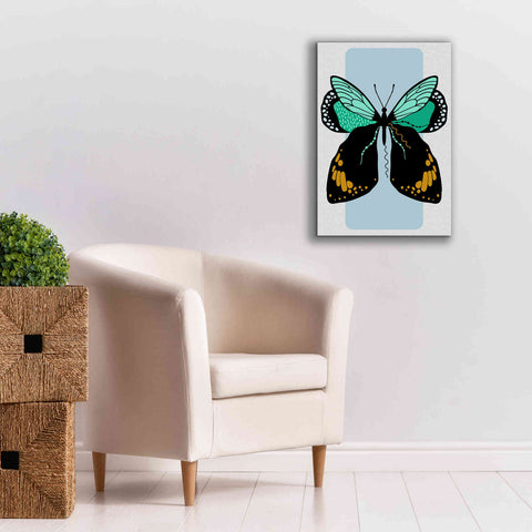 Image of 'Butterfly' by Ayse, Canvas Wall Art,18 x 26