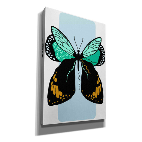 Image of 'Butterfly' by Ayse, Canvas Wall Art