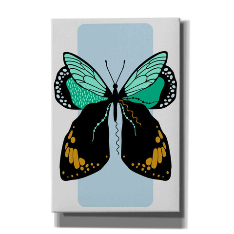 Image of 'Butterfly' by Ayse, Canvas Wall Art