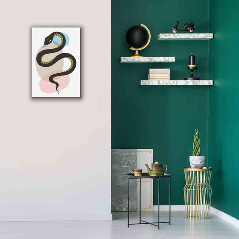 Image of 'Snake' by Ayse, Canvas Wall Art,18 x 26