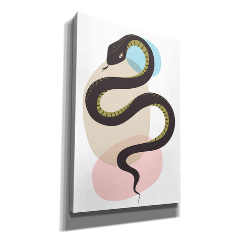 Image of 'Snake' by Ayse, Canvas Wall Art