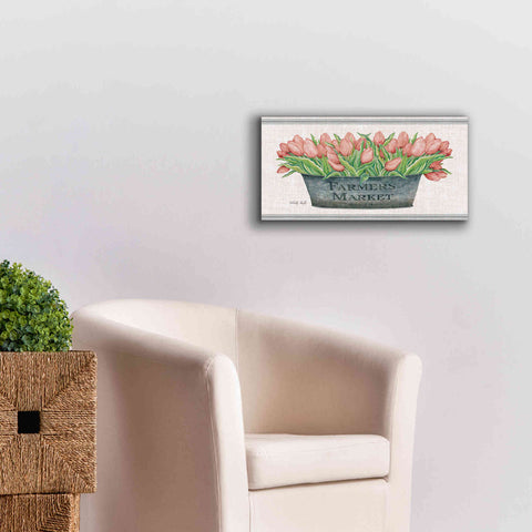 Image of 'Farmer's Market Blush Tulips' by Cindy Jacobs, Canvas Wall Art,24 x 12