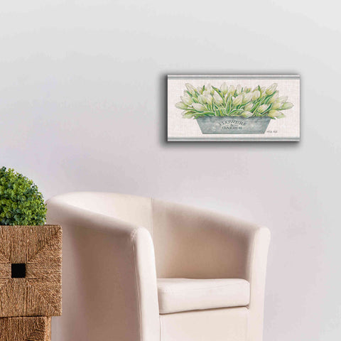 Image of 'Flowers & Garden White Tulips' by Cindy Jacobs, Canvas Wall Art,24 x 12