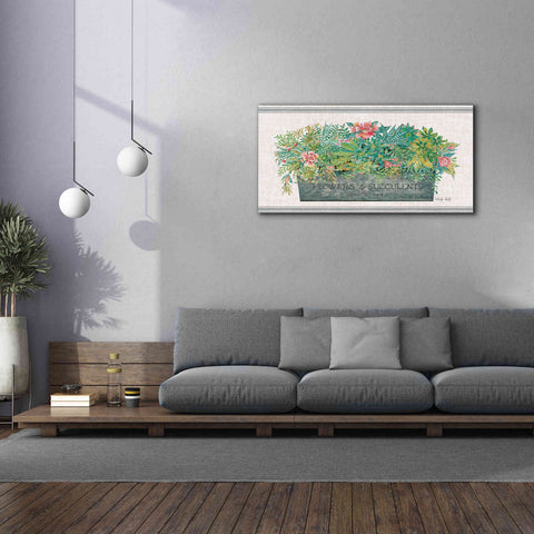 Image of 'Flowers & Succulents' by Cindy Jacobs, Canvas Wall Art,60 x 30