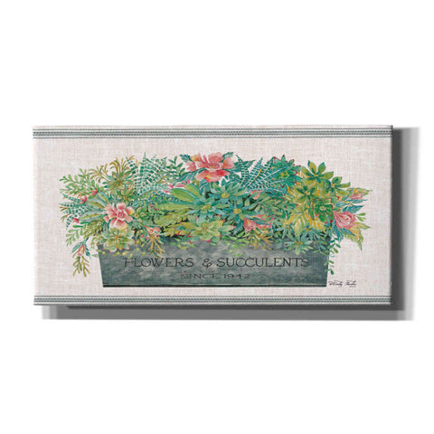 Image of 'Flowers & Succulents' by Cindy Jacobs, Canvas Wall Art