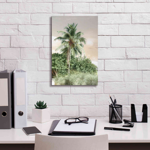 Image of 'Sanibel Island Palm' by Lori Deiter, Canvas Wall Art,12 x 18