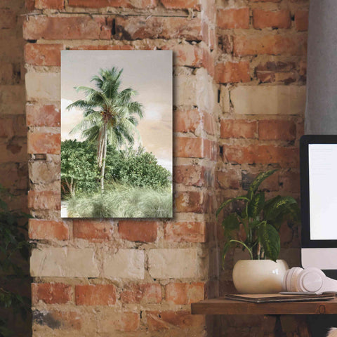 Image of 'Sanibel Island Palm' by Lori Deiter, Canvas Wall Art,12 x 18