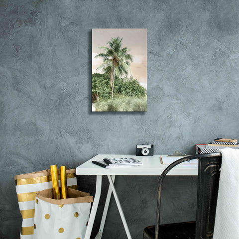 Image of 'Sanibel Island Palm' by Lori Deiter, Canvas Wall Art,12 x 18