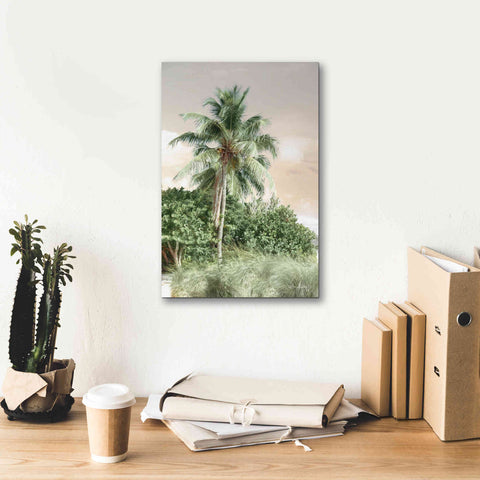 Image of 'Sanibel Island Palm' by Lori Deiter, Canvas Wall Art,12 x 18