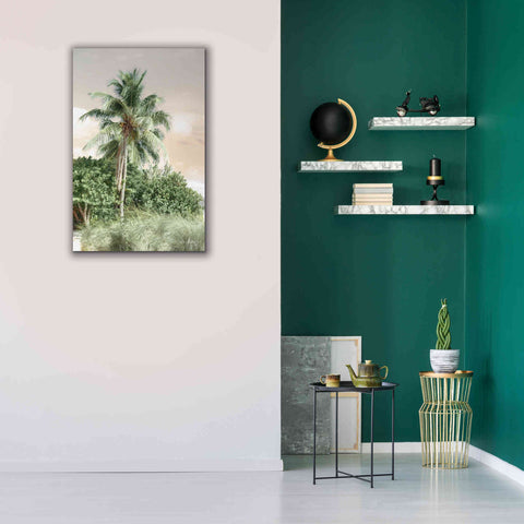 Image of 'Sanibel Island Palm' by Lori Deiter, Canvas Wall Art,26 x 40