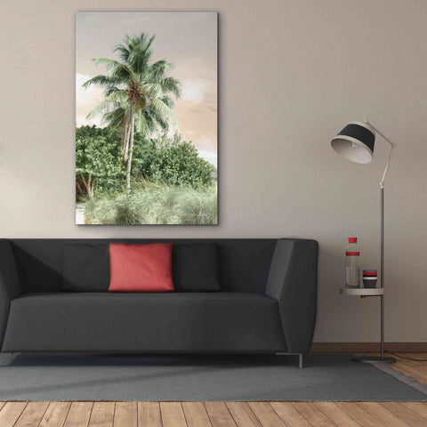 Image of 'Sanibel Island Palm' by Lori Deiter, Canvas Wall Art,40 x 60
