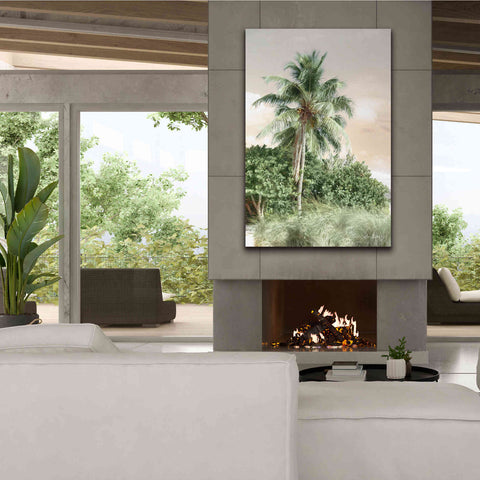 Image of 'Sanibel Island Palm' by Lori Deiter, Canvas Wall Art,40 x 60