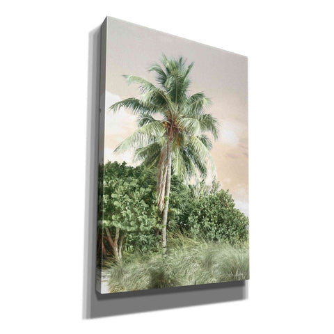 Image of 'Sanibel Island Palm' by Lori Deiter, Canvas Wall Art