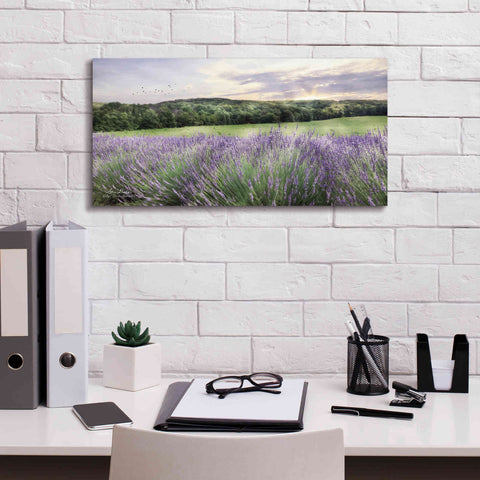 Image of 'Lavender Fields' by Lori Deiter, Canvas Wall Art,24 x 12
