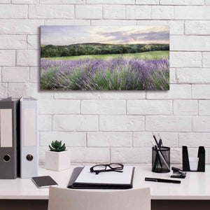 'Lavender Fields' by Lori Deiter, Canvas Wall Art,24 x 12