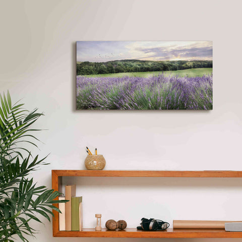 Image of 'Lavender Fields' by Lori Deiter, Canvas Wall Art,24 x 12