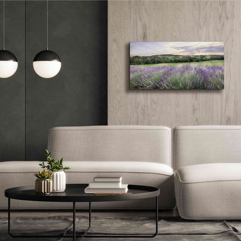 Image of 'Lavender Fields' by Lori Deiter, Canvas Wall Art,40 x 20