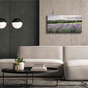 'Lavender Fields' by Lori Deiter, Canvas Wall Art,40 x 20