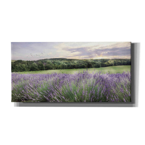 Image of 'Lavender Fields' by Lori Deiter, Canvas Wall Art