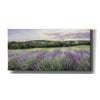 'Lavender Fields' by Lori Deiter, Canvas Wall Art