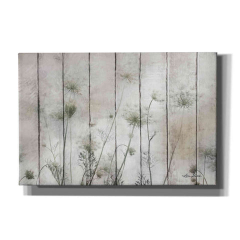 Image of 'Queen Anne' by Lori Deiter, Canvas Wall Art