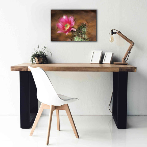 Image of 'Vibrant Cactus Flower' by Lori Deiter, Canvas Wall Art,26 x 18