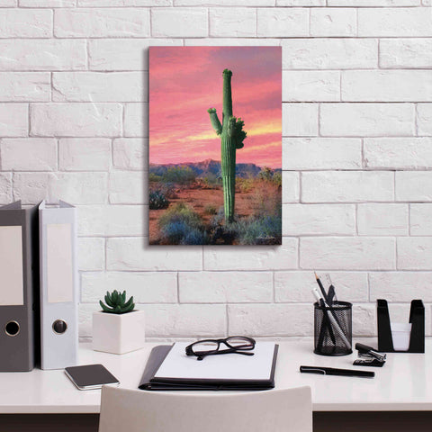 Image of 'Vibrant Cactus Sunset' by Lori Deiter, Canvas Wall Art,12 x 18