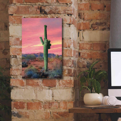 Image of 'Vibrant Cactus Sunset' by Lori Deiter, Canvas Wall Art,12 x 18