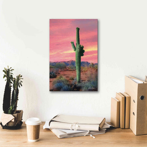 Image of 'Vibrant Cactus Sunset' by Lori Deiter, Canvas Wall Art,12 x 18