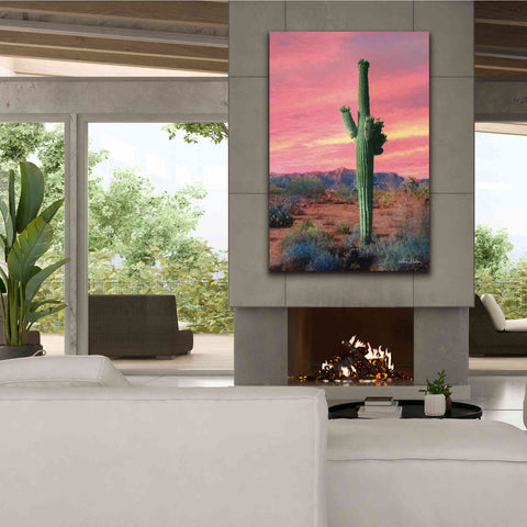 Image of 'Vibrant Cactus Sunset' by Lori Deiter, Canvas Wall Art,40 x 60