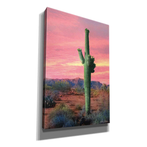 Image of 'Vibrant Cactus Sunset' by Lori Deiter, Canvas Wall Art