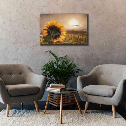 Image of 'Sunlit Sunflower' by Lori Deiter, Canvas Wall Art,40 x 26