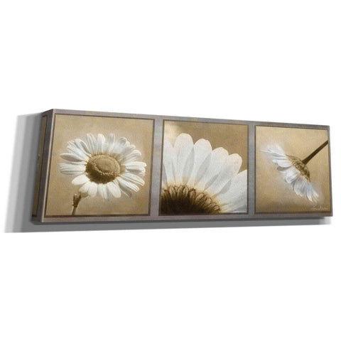 Image of 'Daisy Trio' by Lori Deiter, Canvas Wall Art