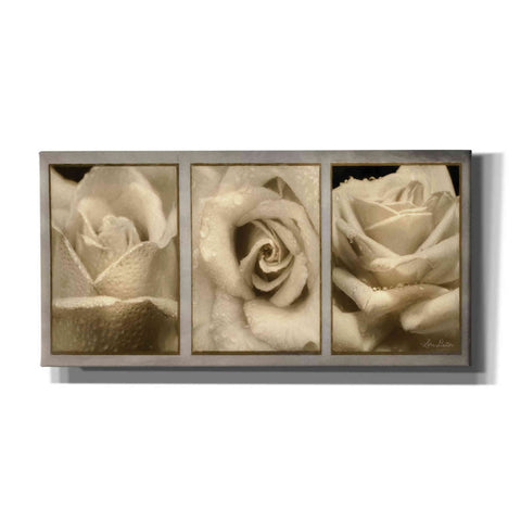 Image of 'Rose Trio' by Lori Deiter, Canvas Wall Art