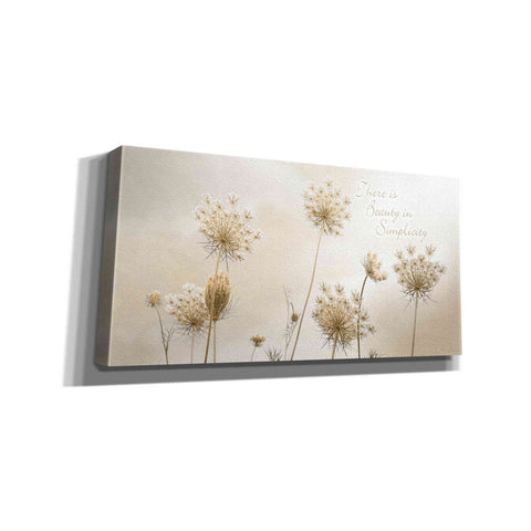 Image of 'There is Beauty in Simplicity' by Lori Deiter, Canvas Wall Art