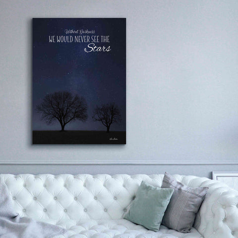 Image of 'See the Stars' by Lori Deiter, Canvas Wall Art,40 x 54