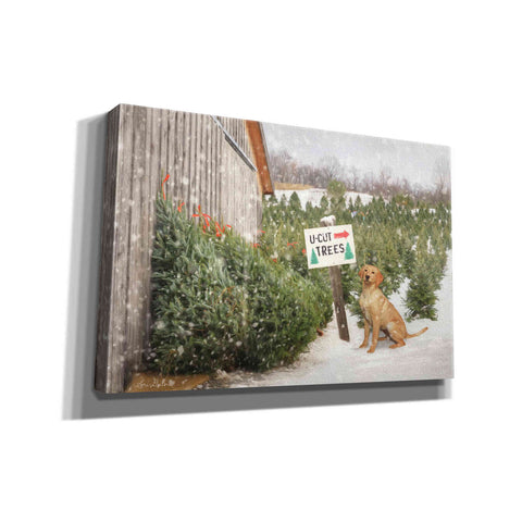 Image of 'U-Cut Trees' by Lori Deiter, Canvas Wall Art