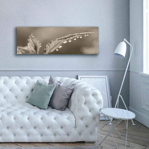 Image of 'Dewey Morning' by Lori Deiter, Canvas Wall Art,60 x 20