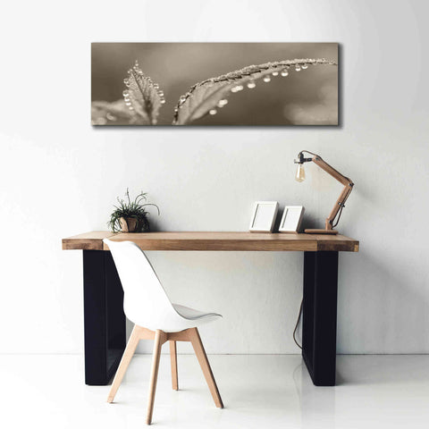 Image of 'Dewey Morning' by Lori Deiter, Canvas Wall Art,60 x 20