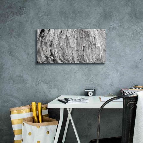Image of 'Silver Feathers' by Lori Deiter, Canvas Wall Art,24 x 12