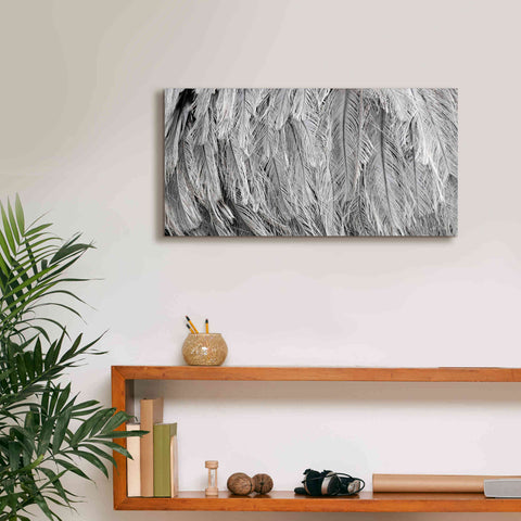 Image of 'Silver Feathers' by Lori Deiter, Canvas Wall Art,24 x 12