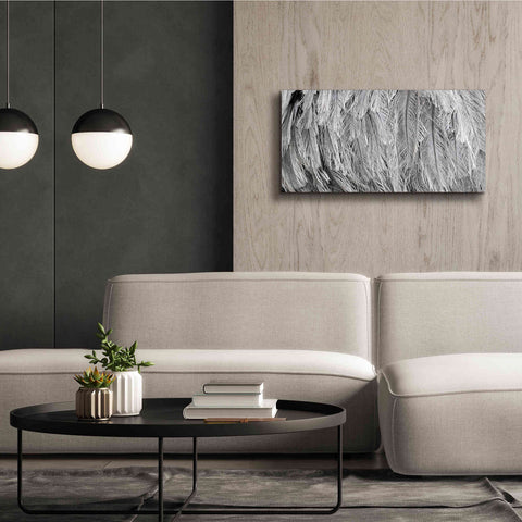 Image of 'Silver Feathers' by Lori Deiter, Canvas Wall Art,40 x 20