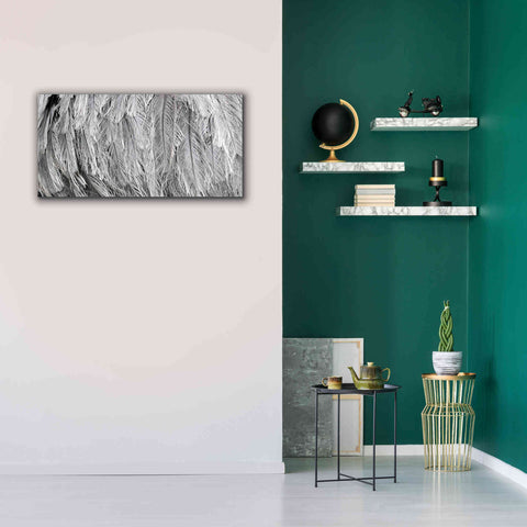 Image of 'Silver Feathers' by Lori Deiter, Canvas Wall Art,40 x 20