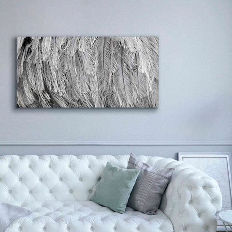 Image of 'Silver Feathers' by Lori Deiter, Canvas Wall Art,60 x 30