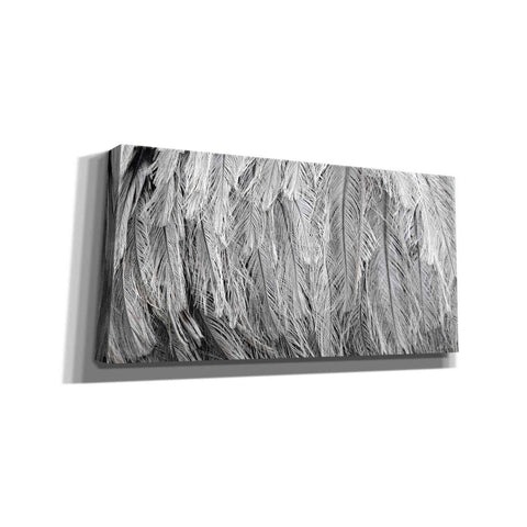 Image of 'Silver Feathers' by Lori Deiter, Canvas Wall Art